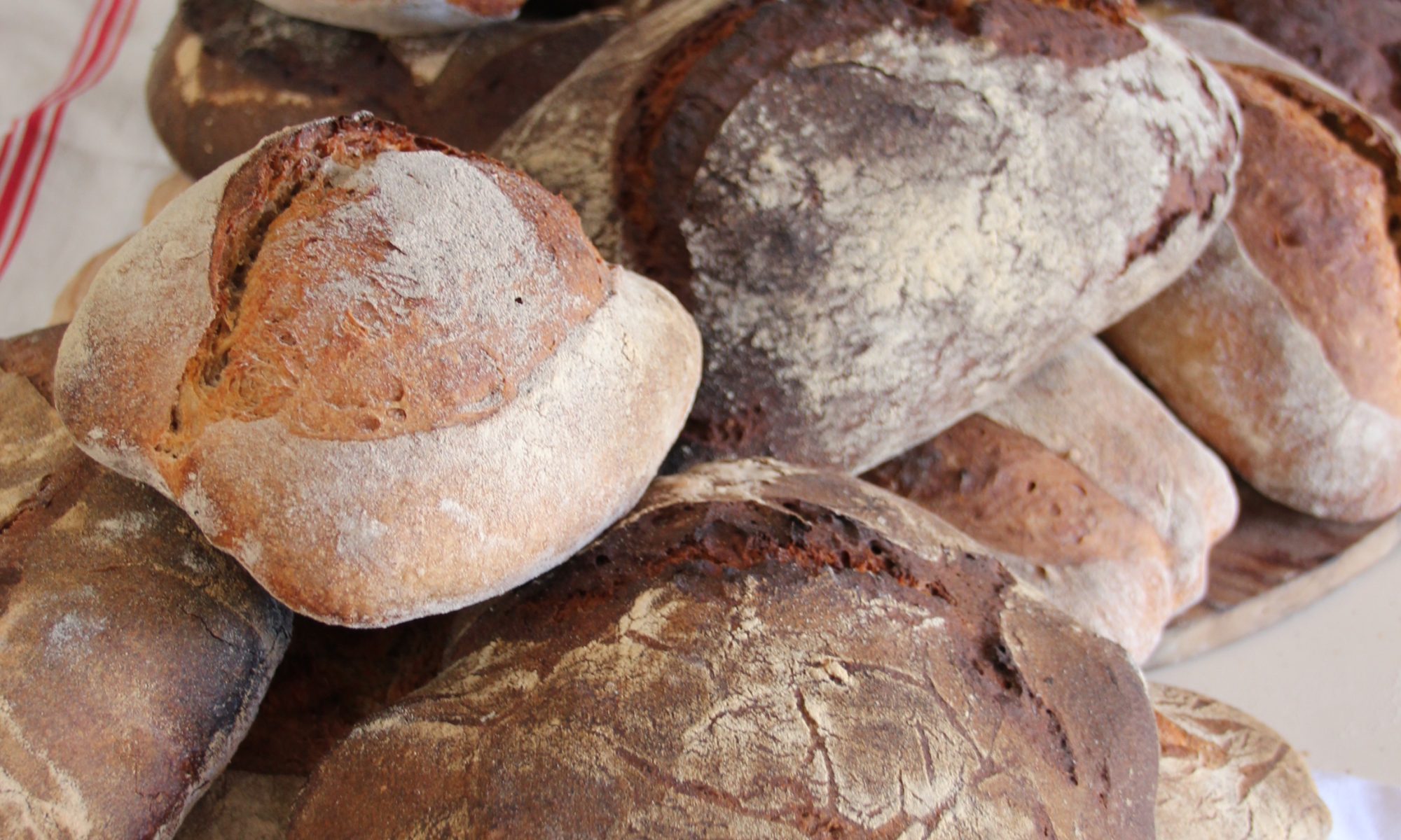 Partage de savoir faire autour du pain pour une cuisson dans l'ancien four à pain de la maison Pesteil